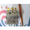 Thermona Termostat kotlový TR2 0-80°C 540093 40381
