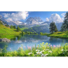Diamantový obraz Príroda v lete