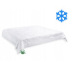 Brotex prikrývka Aloe Vera zimná 220x240 2370g