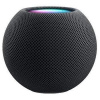 Apple HomePod mini vesmírně šedá