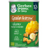 GERBER Organic chrumky s mangom a banánom 35 g​ - Mango, Banán