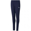 Puma teamRISE Poly Training Pants Junior 657391 06 (71664) 116cm
