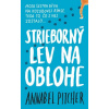 Strieborný lev na oblohe - Annabel Pitcherová