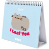 Oficiální stolní kalendář 2024: Pusheen (20 x 17 cm)