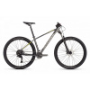 RAUNG XL