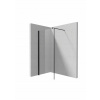 Deante Sprchová stena / walk-in systém Kerria Plus 100 cm