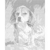 ZUTY Bodkovanie - PSÍK S TULIPÁNOM Rámovanie: bez rámu a bez vypnutia plátna, Rozmer: 80x100 cm