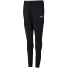 Puma teamRISE Poly Training Pants Junior 657391 03 (71663) 116cm