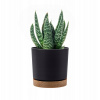 Záhradný kvetináč - DPOD350 Anthracite Two -Color Pot (Dvojfarebná podnož kvetináča DPOD350 antracit)