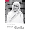 Mother Teresa - D'Arcy Adrian-Vallance