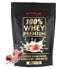 ACTIVLAB 100 % WHEY PREMIUM 500G JAHODA