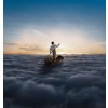PINK FLOYD - Endless River (LP)