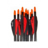 2.7. Šíp EASTON POWERFLIGHT 300/340/400/500 s letkami QUICKSPIN 2´´