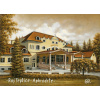 Obraz Rajecké Teplice SPA Aphrodite, VBart PREVEDENIE: OBRAZ na plátne blindrám, ROZMER v cm/TYP OKRAJA: 90x60