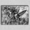 Obraz Kolibrík 01 Čierna 100x70 cm