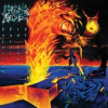 Morbid Angel - Formulas Fatal To The Flesh / Vinyl / 2LP [2 LP]