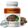 MYCOMEDICA Coriolus 40%, Vegan 90 kapslí