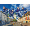 EUROGRAPHICS Puzzle Straubing Tigers 1000 dielikov