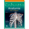 Sobotta Lehrbuch Anatomie