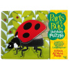 Insect Lore Drevené puzzle Lienka, 8 dielikov