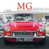 MG, 30,5 x 30,5 30,5 x 61 cm 2026