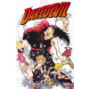 Daredevil: Parts of A Hole - David Mack, Jimmy Palmiotti