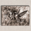 Obraz Kolibrík 01 Svetlo hnedá 100x70 cm