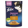 FELIX Fantastic JUNIOR kapsička 85g s kuraťom v želé (FELIX Fantastic JUNIOR kapsička 85g s kuraťom v želé)