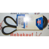 Drážkový řemen BMW - FIAT - MITSUBISHI - RENAULT (ALFA ROMEO 46749664 ALFA ROMEO 60653028 ALFA ROMEO 60814032 ALFA ROMEO 60815622 BMW 11287532144 BMW 11287549643 BMW 11287628651 BMW 7549643 BMW 762865