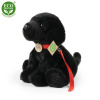 Rappa Plyšový labrador čierny s vodítkom 28 cm ECO-FRIENDLY