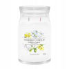 Yankee Candle Midnight Jasmine signature 567 g