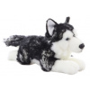 Husky ležiaci 35 cm
