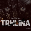 Trhlina - Jozef Karika