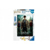Ravensburger Harry Ron a Hermiona XXL 300 dielov