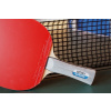 Raketa na stolný tenis Butterfly Allround New + Flextra, Anatomické (AN) (8594215000006)