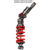 BITUB REAR SHOCK XXF31