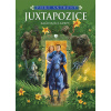 Juxtapozice