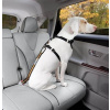 Kurgo® Bezpečnostní pás pro psa do auta Direct to Seatbelt Tether oranžový