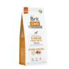 Brit Care Hypoallergenic Junior Large Breed Lamb 12 kg