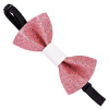 Record Collar Bow Medium - elegantný motýlik pre psov a mačky, s nastaviteľným obvodom, 8x4cm - ružový