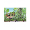 Hailea Akvarijní pozadí Grassy S 41 cm délka 1 m