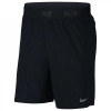Nike Flex Shorts velikost L L