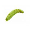 Berkley vosí larvy PowerBait Power Honey Worm Original 2,5cm Yellow with Scales