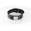 Whips Primal Bond Double Studded Collar Large Black, kožený obojok pre obvod 38–47 cm