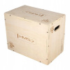 HMS DSC04 PLYO BOX