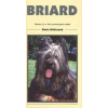 Briard - autor neuvedený