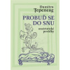 Probuď se do snu - Dumitru Ţepeneag