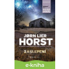 E-kniha Zaslepení - Jorn Lier Horst