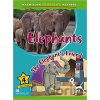 Macmillan Children's Readers Elephant 4