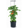 Prosperplast Tomato Grower Květináč 39,2 cm antracit